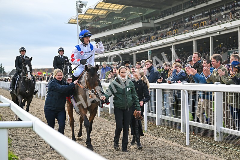 161124-Race 4-Il Ridoto-0607 - Race 4