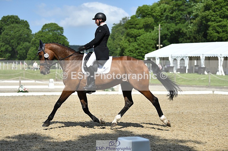 230525-102503-01707 - 312-J'ADORE_SALSA-Michael_Owen-WEDTrotUp+DR