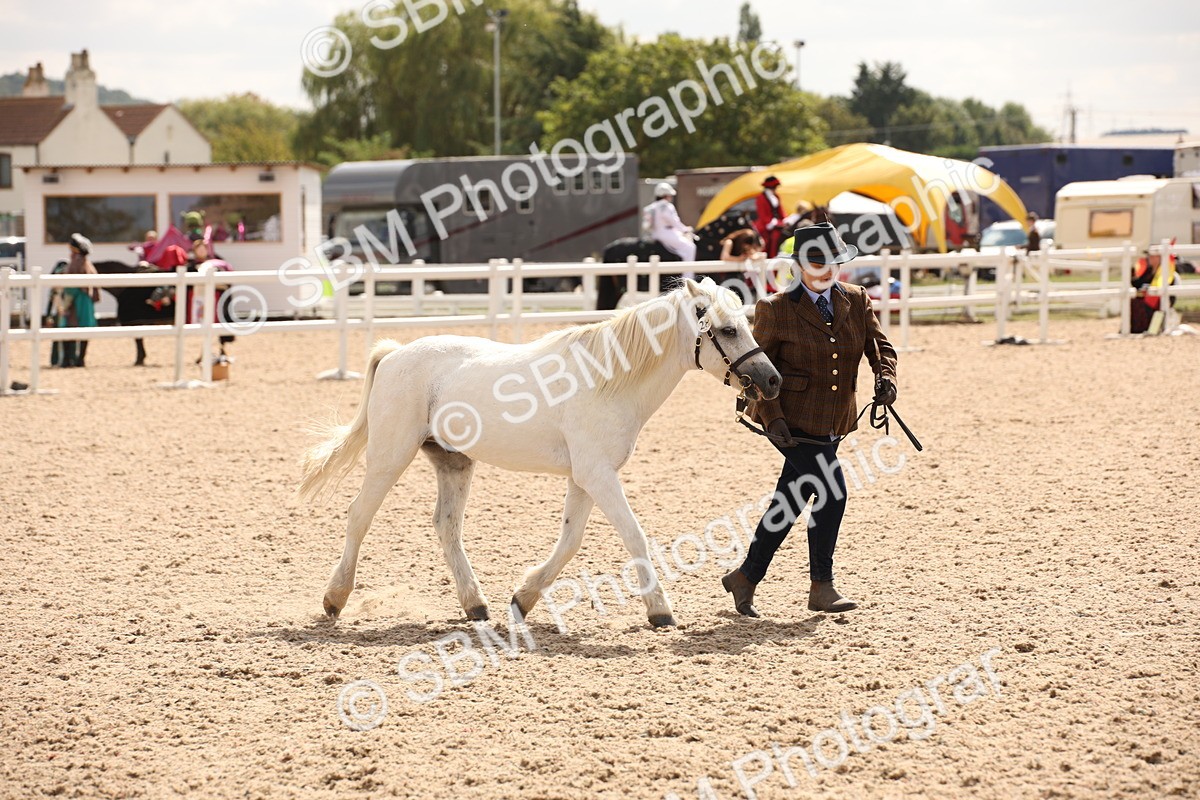 SBM_04644 - Class 20 IH Veteran