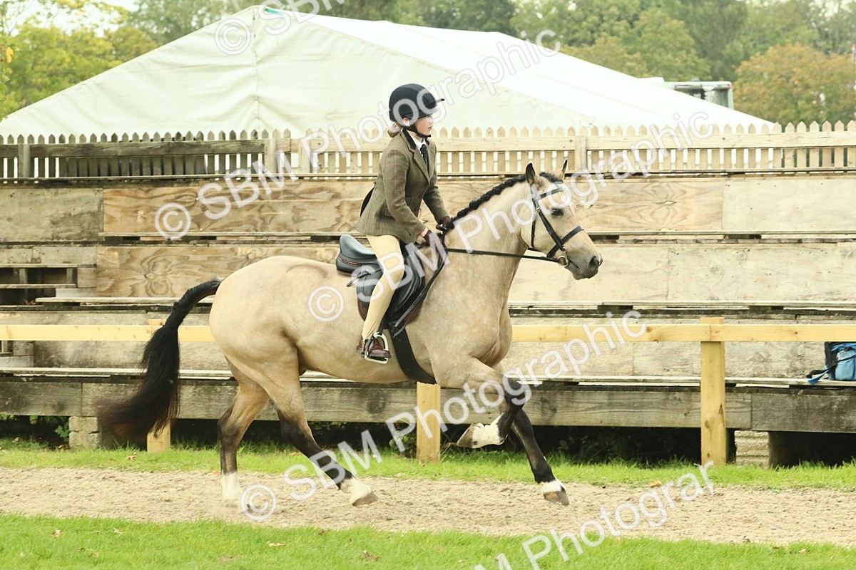 SBM_74024 - S 61 - Show Pony & Show Hunter Pony Ridden