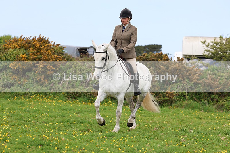 3E7A1245 - Class 7: Ridden Hunter Type