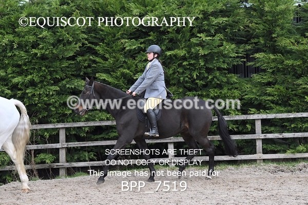 BPP_7519 - RING 1  (RIDDEN HORSES / IN HAND / VETERAN ETC)