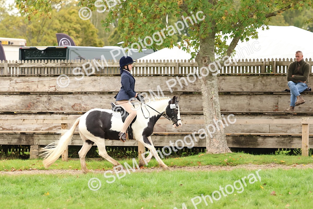 SBM_59955 - S36 - Rehabiliated Rescue Horse & Pony In Hand & Ridden