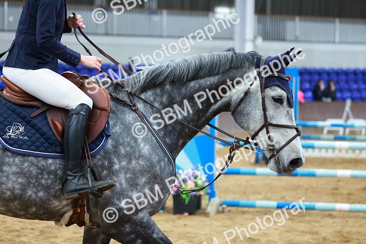 SBM_005445 - Class 16 - Blue Chip Ruby Championship Qualifier 90cm - 1st Half