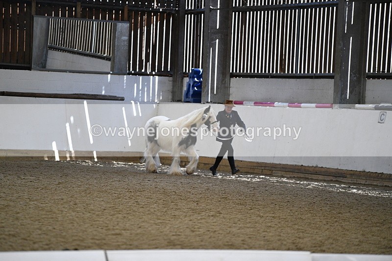 WJ5_5279 - Class 8 In hand cob