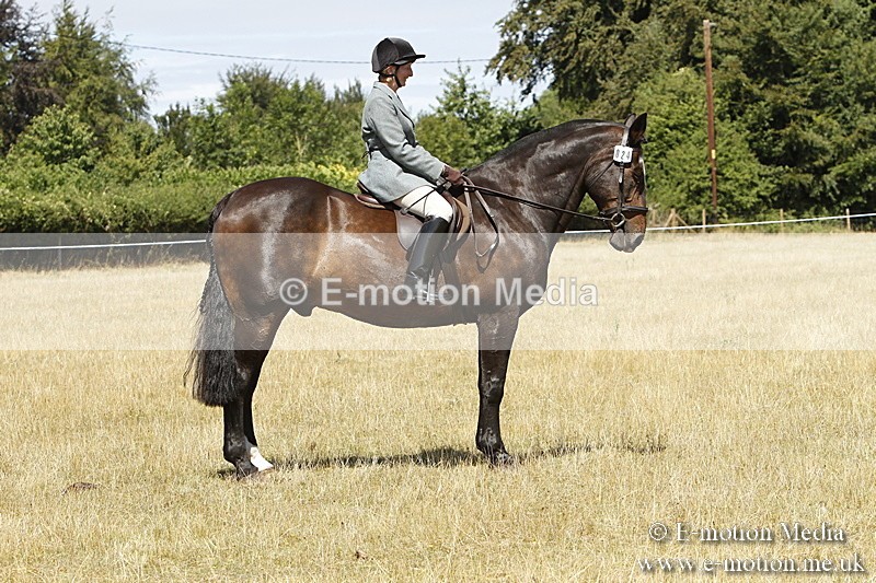 _BS_0841 - BVRC Show 2018 Ring 1