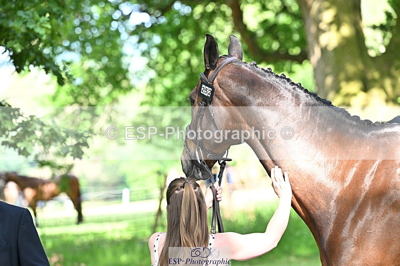 250521A-164021-01271 - C-252-Zoe.Boyles-SAM