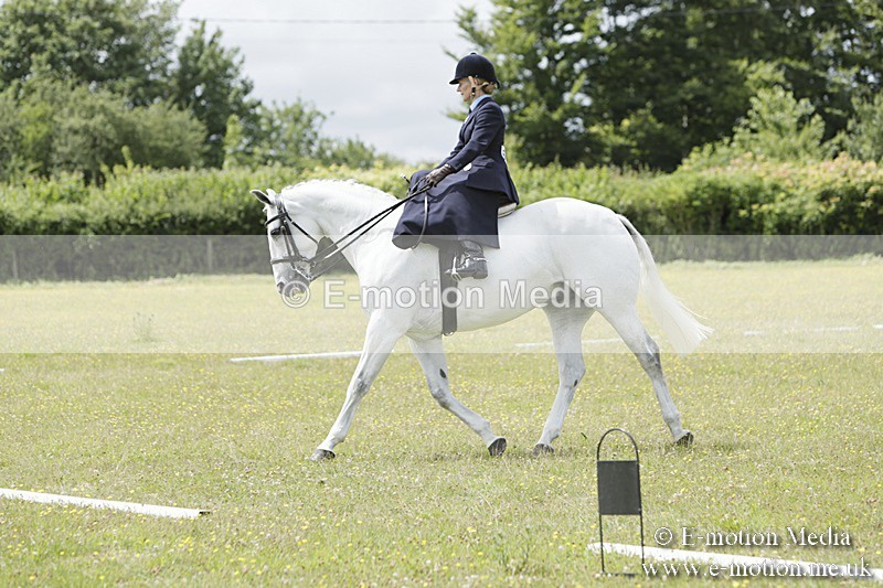 BVR160717-2048 - Class 4 & 5 Dressage 16/07/17