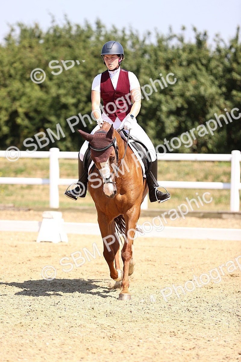 SBM_003700 - Intro 2