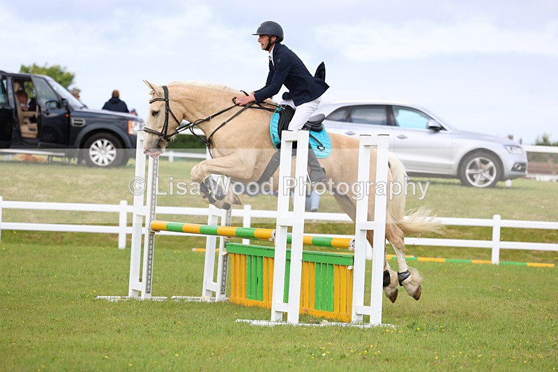 3E7A7655 - Class 13: Senior British Novice/90cm open