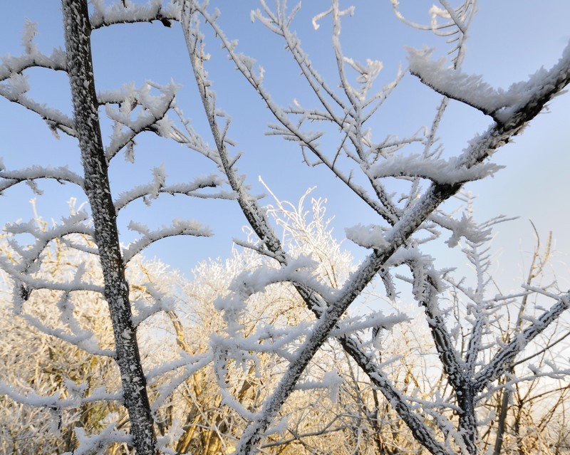 Morning Frost NIKON D300 10mm f10 1-100 iso200 - Landscapes