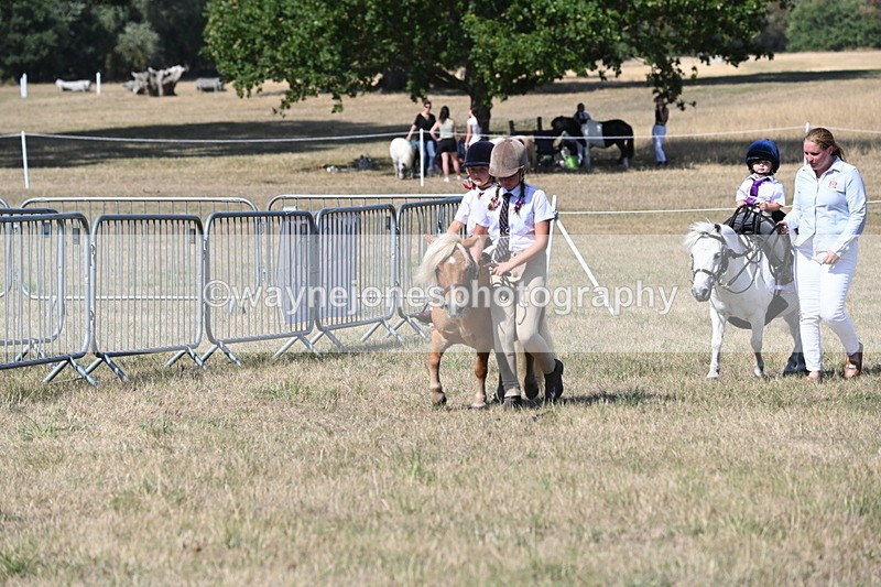 WJ6_9480 - Class 40 Cheekiest Pony/Horse