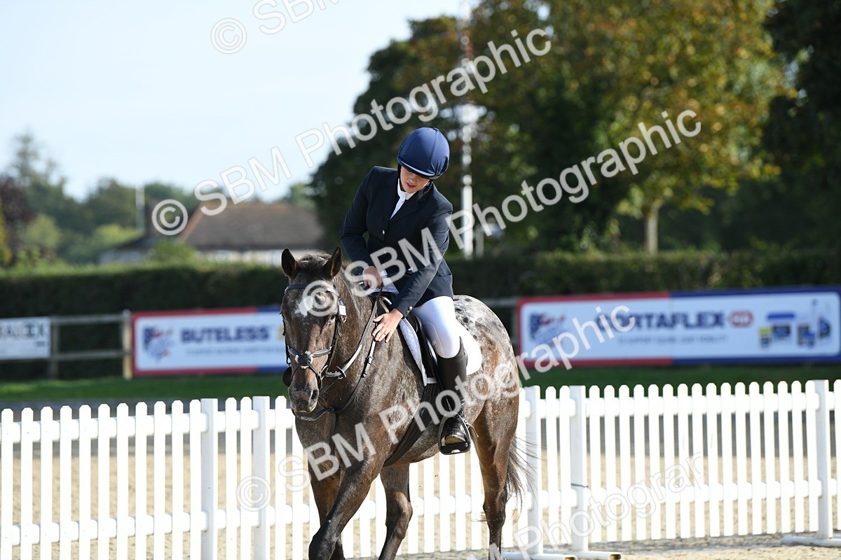 SBM_60500 - j25 - Junior Horse 80cm Championship