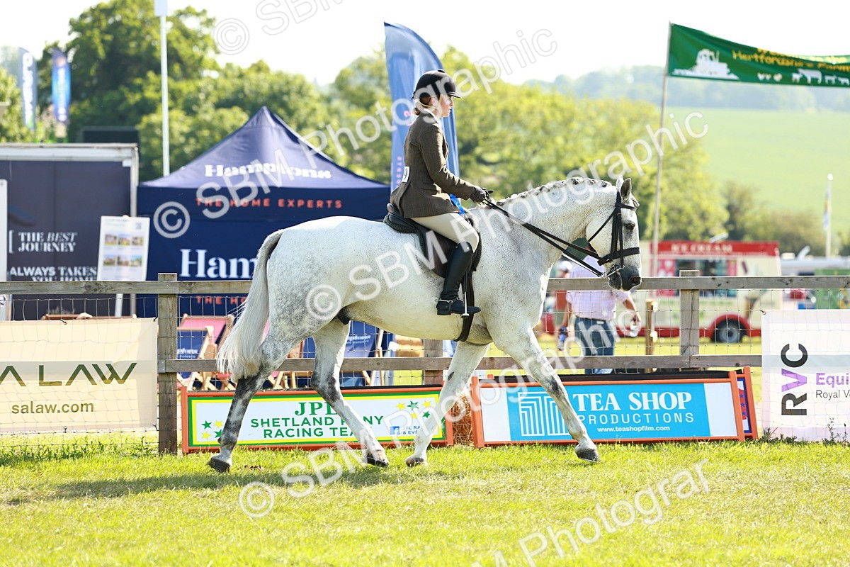 SBM_11898 - Class 66-69 - RIHS Ridden Hunters Inc Small Hunter