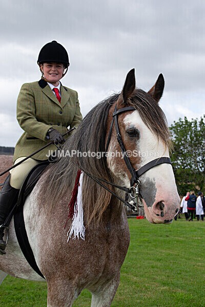 DSC_0214 - Ring 1
