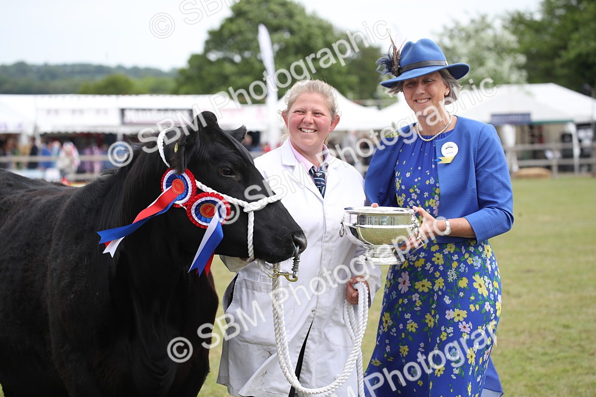 SBM_07949 - Grand Parade