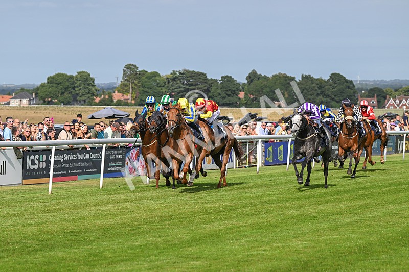 140824-Race 6-Glistening Nights-6861 - Race 6