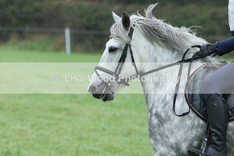 JPP_4960 - Class 1: 65cm : Showjumping