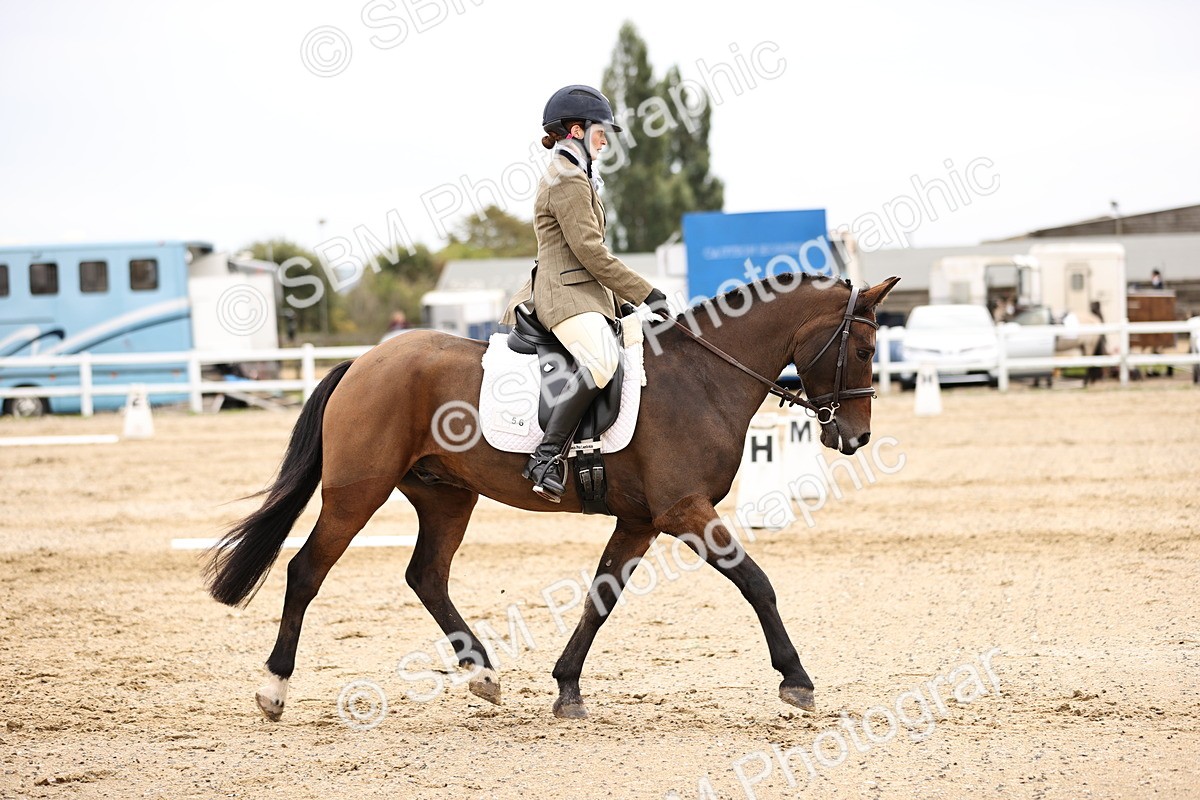 SBM_001228 - Prelim 3
