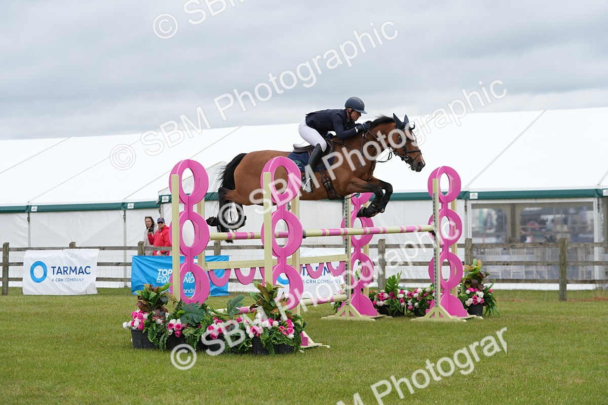 SBM_03460 - Class 201 - British Horse Feeds Speedi Beet Horse of the Year Show Grade  C