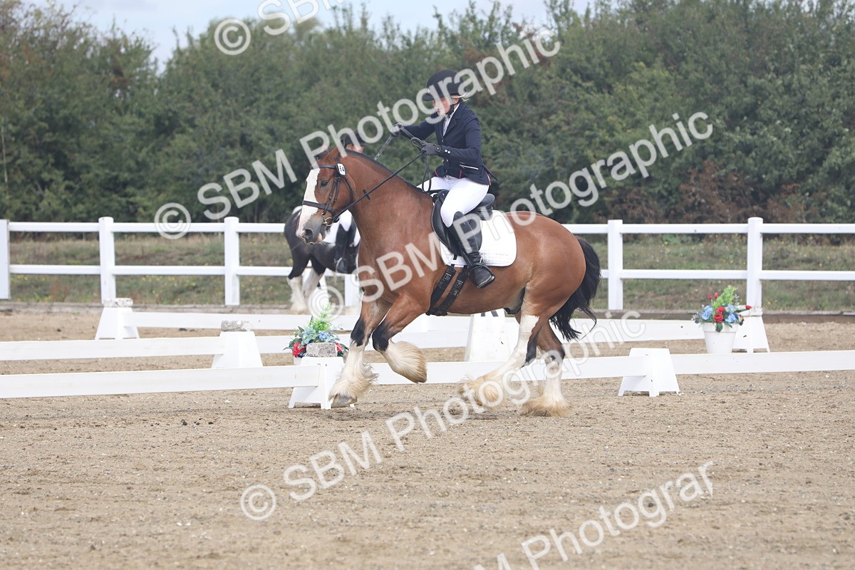 SBM_001753 - Class 5 - Prelim 3 - 10.38-11.24