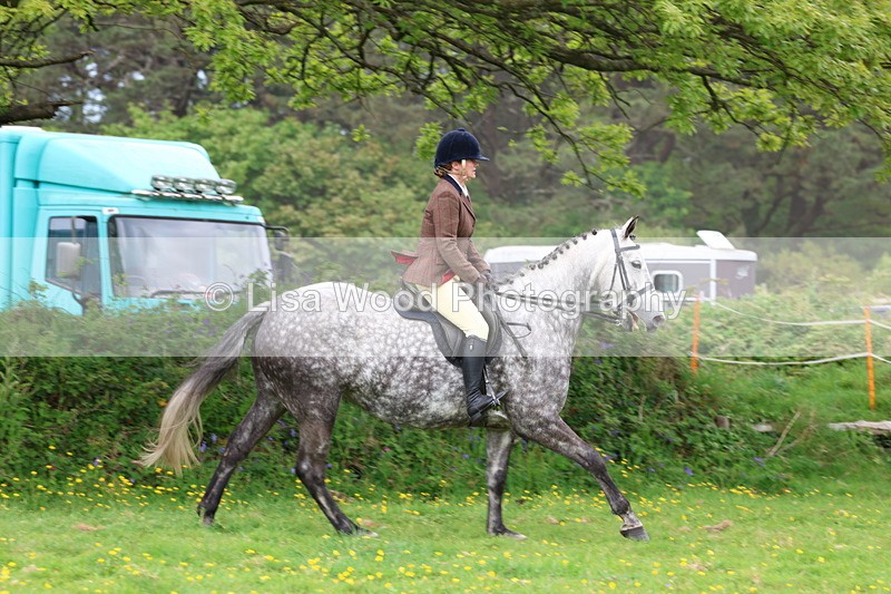 3E7A1747 - Class 9: Riding Club Horse/Pony