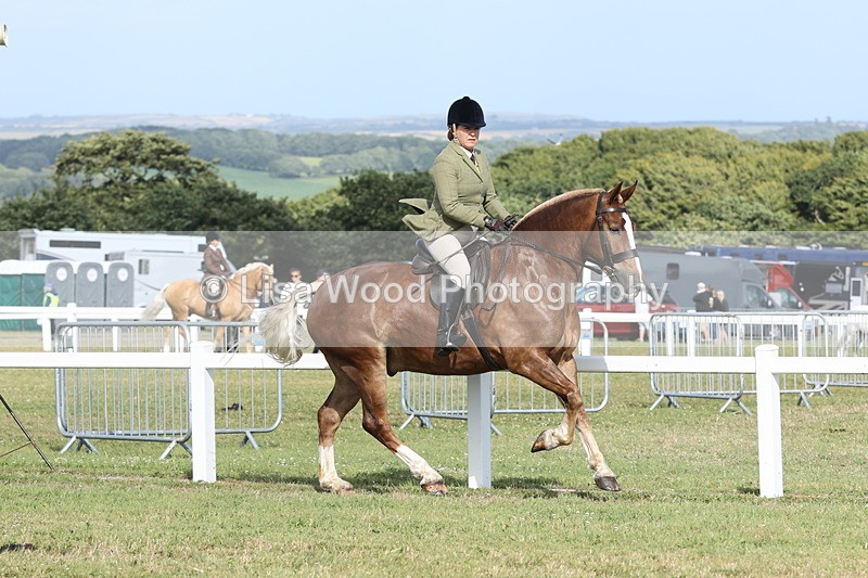 JPP_2885 - Class 20: Working Hunter 70cm