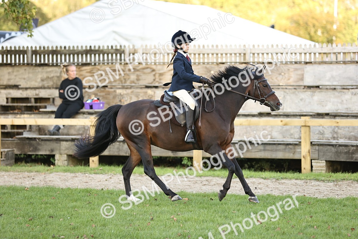 SBM_29472 - S7 - Novice & Newcomers Ridden Pony