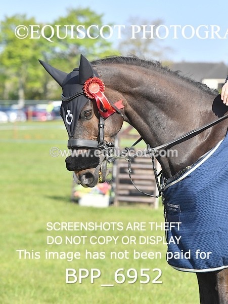 BPP_6952 - CLASS 1 Senior Newcomers/ 1.10m Open