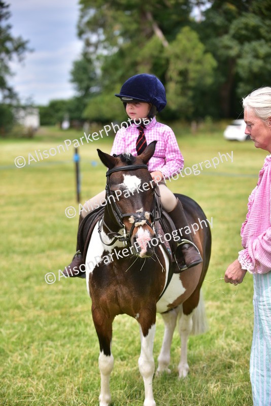20260614-4021 - Class 16 - Handsome Gelding