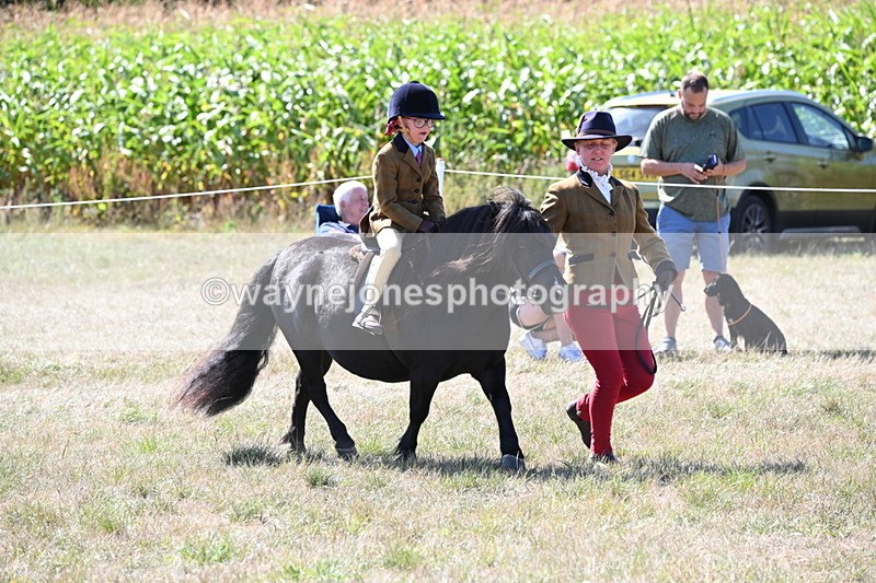 WJ6_8090 - Class 36 Lead Rein