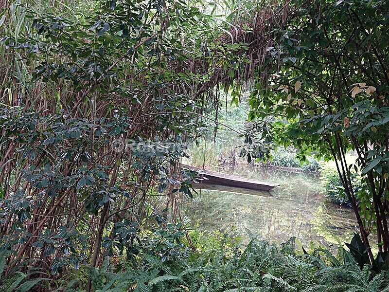 CHINA__0093 - China 2019