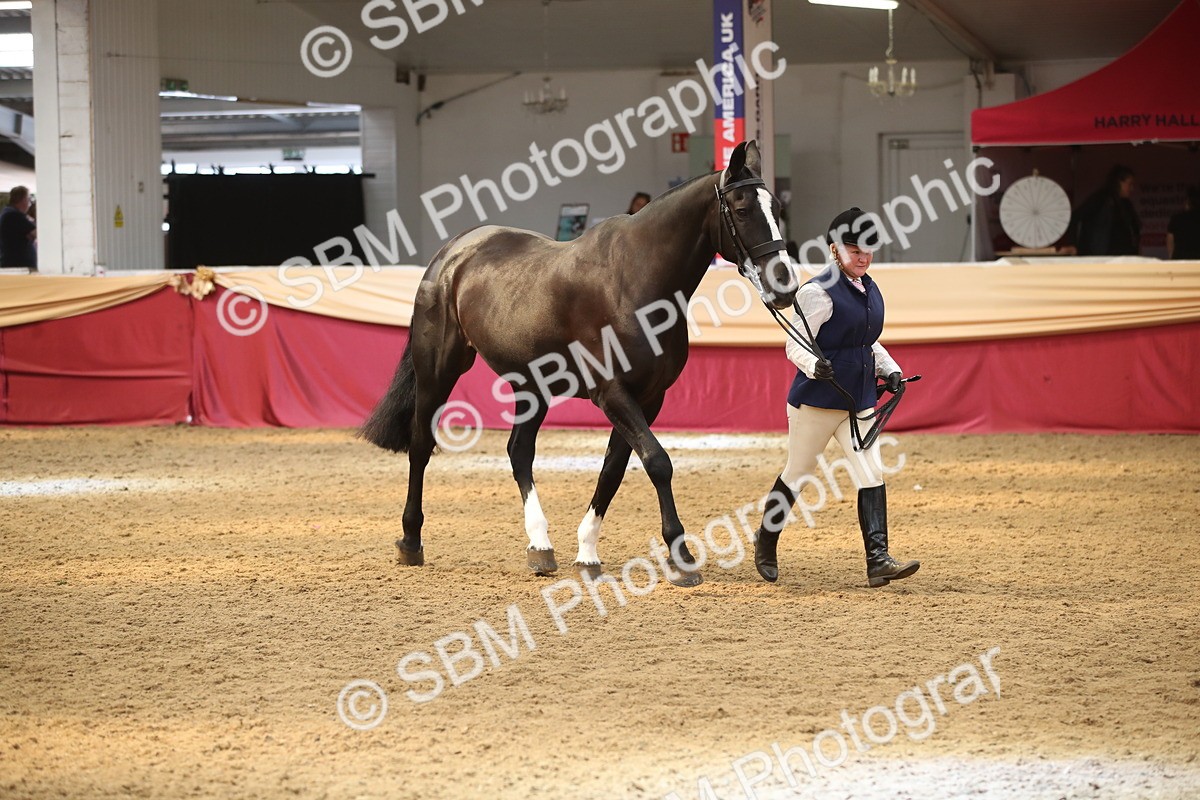 SBM_05351 - Class 8R - Regional IH Veteran