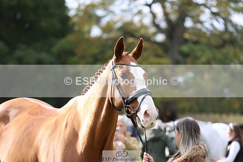 251026A-120837-25910 - G-574-Abbie.Rogers