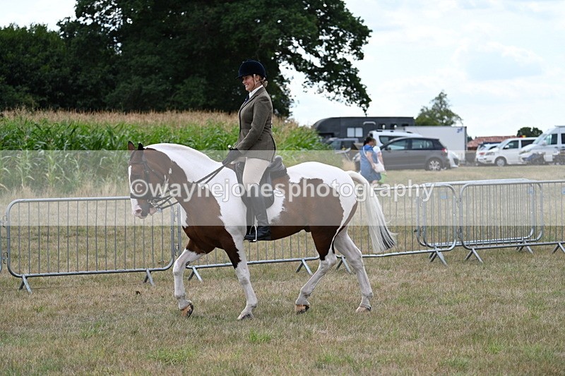 WJ7_5001 - Class 12 Ridden Cob