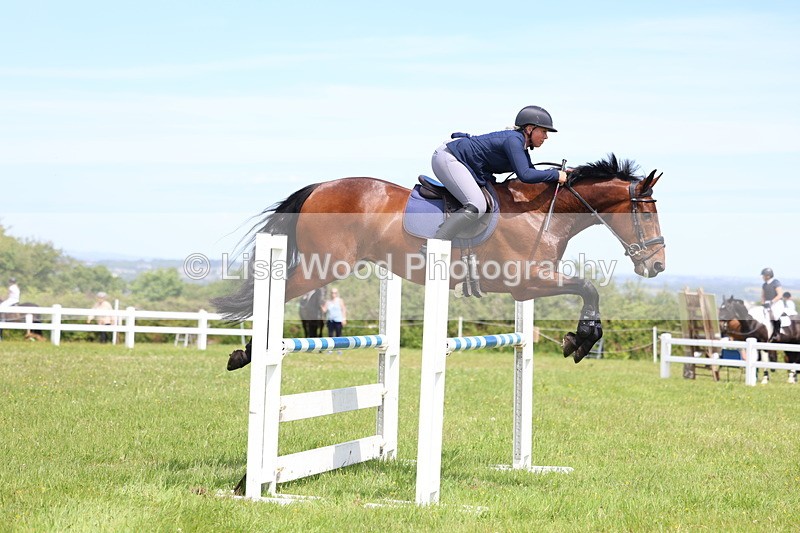 3E7A1368 - Class 12: Senior Foxhunter/1.20 open