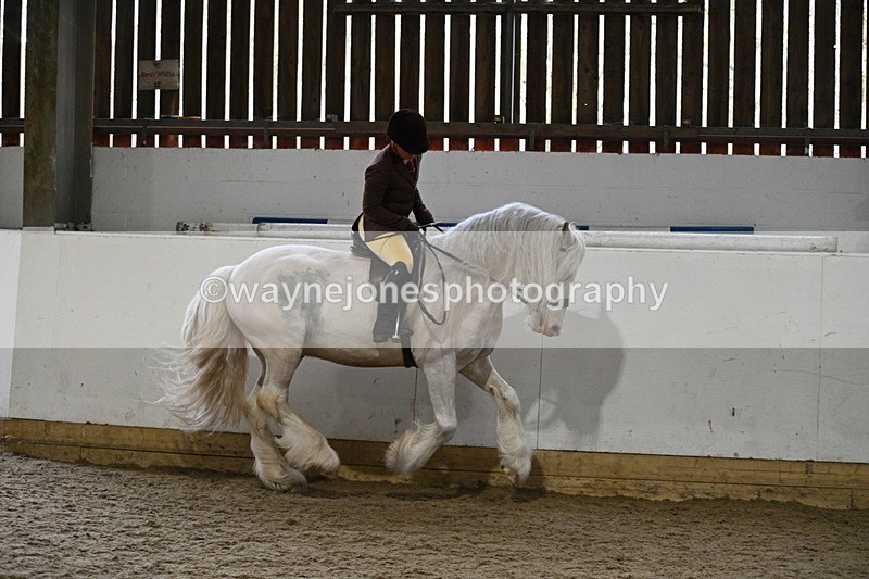 WJ7_3804 - Class 17 Ridden Cob