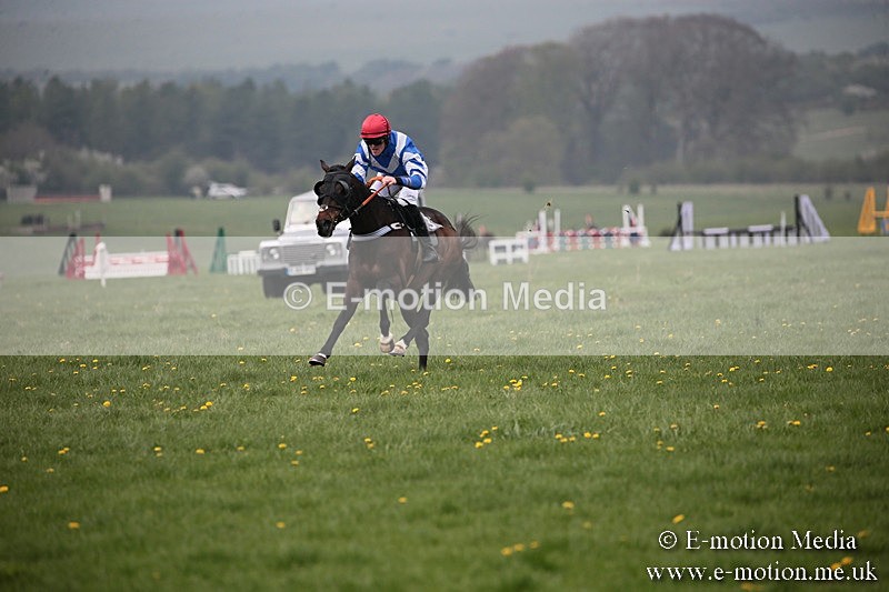 PtP 210418 90 - South & West Wilts Point-to-Point Larkhill 21/04/18