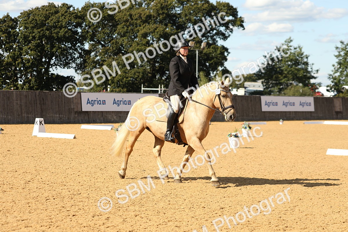 SBM_24552 - D17 - Grand Tour Championship - Novice 27