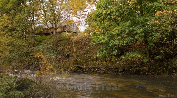 Autumn on the Scaur II - Scaur Valley