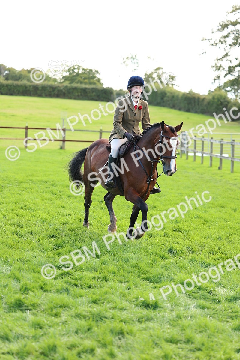 SBM_45509 - S33 - Working Hunter Pony