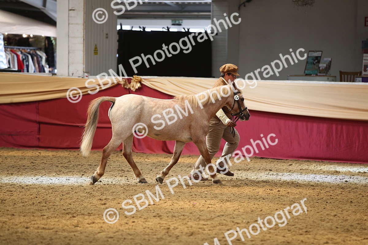 SBM_05383 - Class 8R - Regional IH Veteran