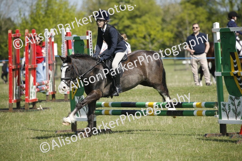 20250427-2037 - Class 13 - Novice Jumping 60cm
