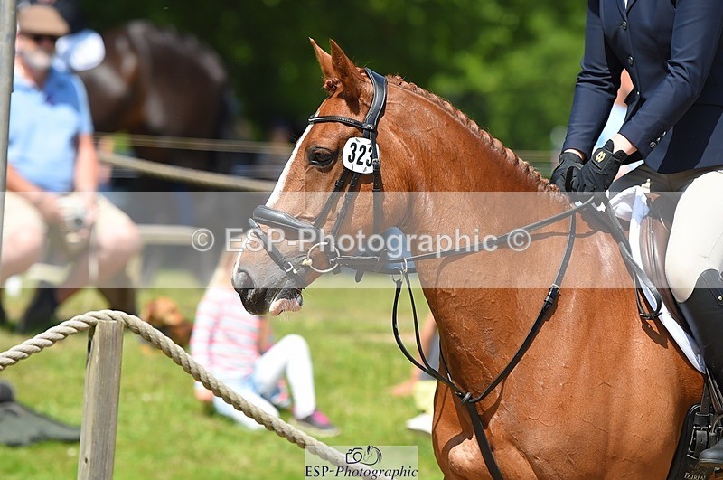 230528-113326-15263 - 323-CHESTNUT_BOBBY-Molly_Fletcher-SUNTrotUp+SJ