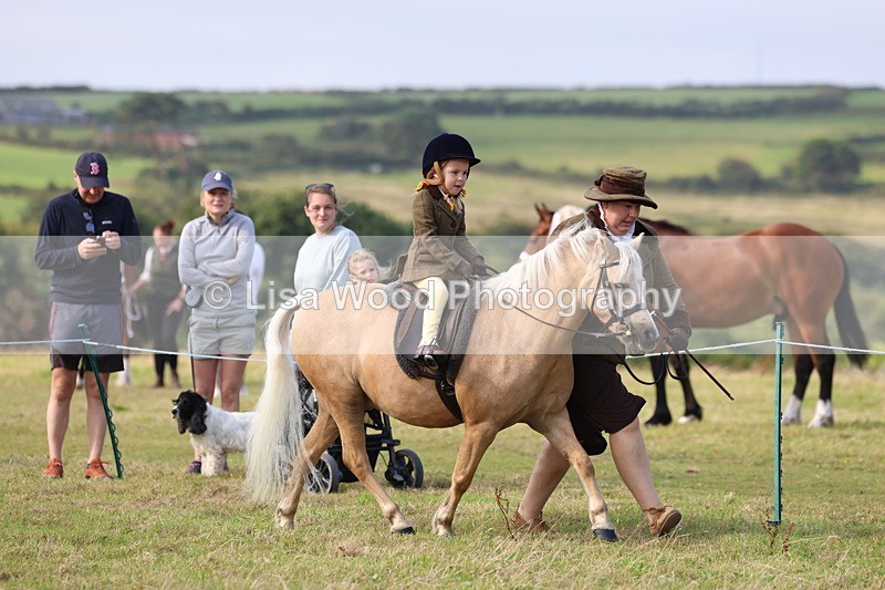 3E7A3452 - Class 2: Lead rein