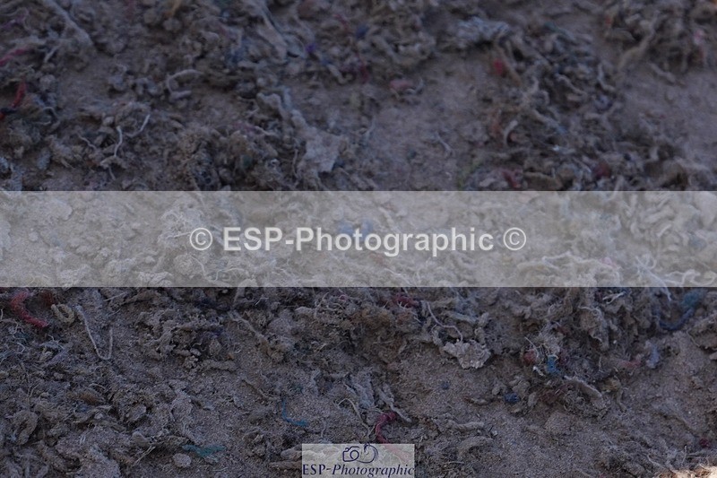 250503-143328-01558 - Cls 28 Springboard