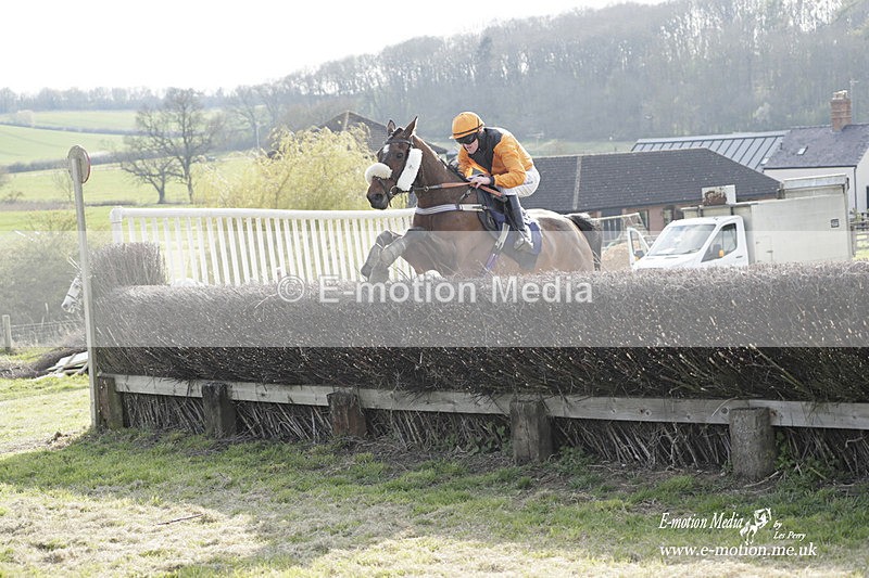 PtP 080423 836 - Dingley Races The Woodland Pytchley Hunt PtP 08/04/23