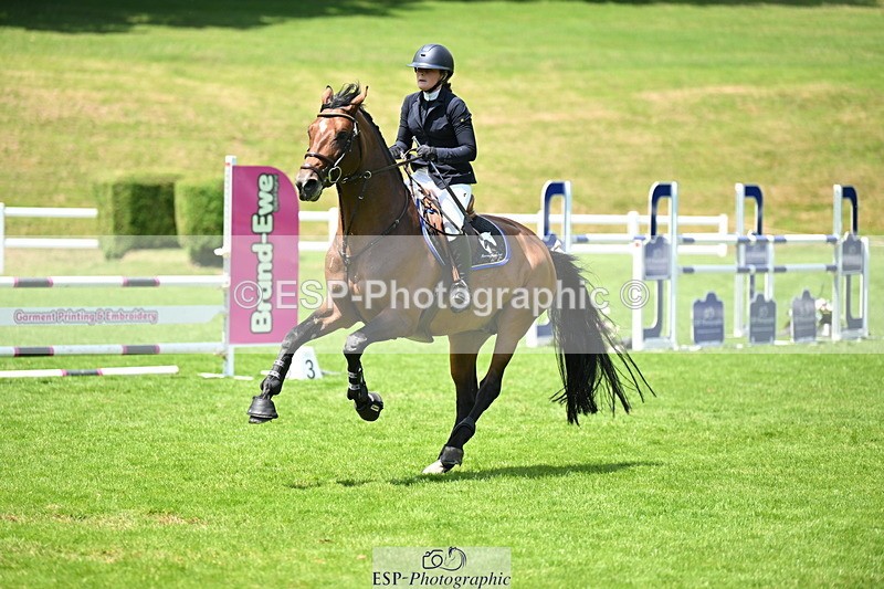 250614A-133010-06864 - Cls 20 Foxhunter