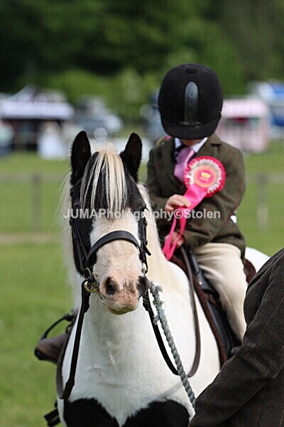 IMG_2352 - Working Hunter