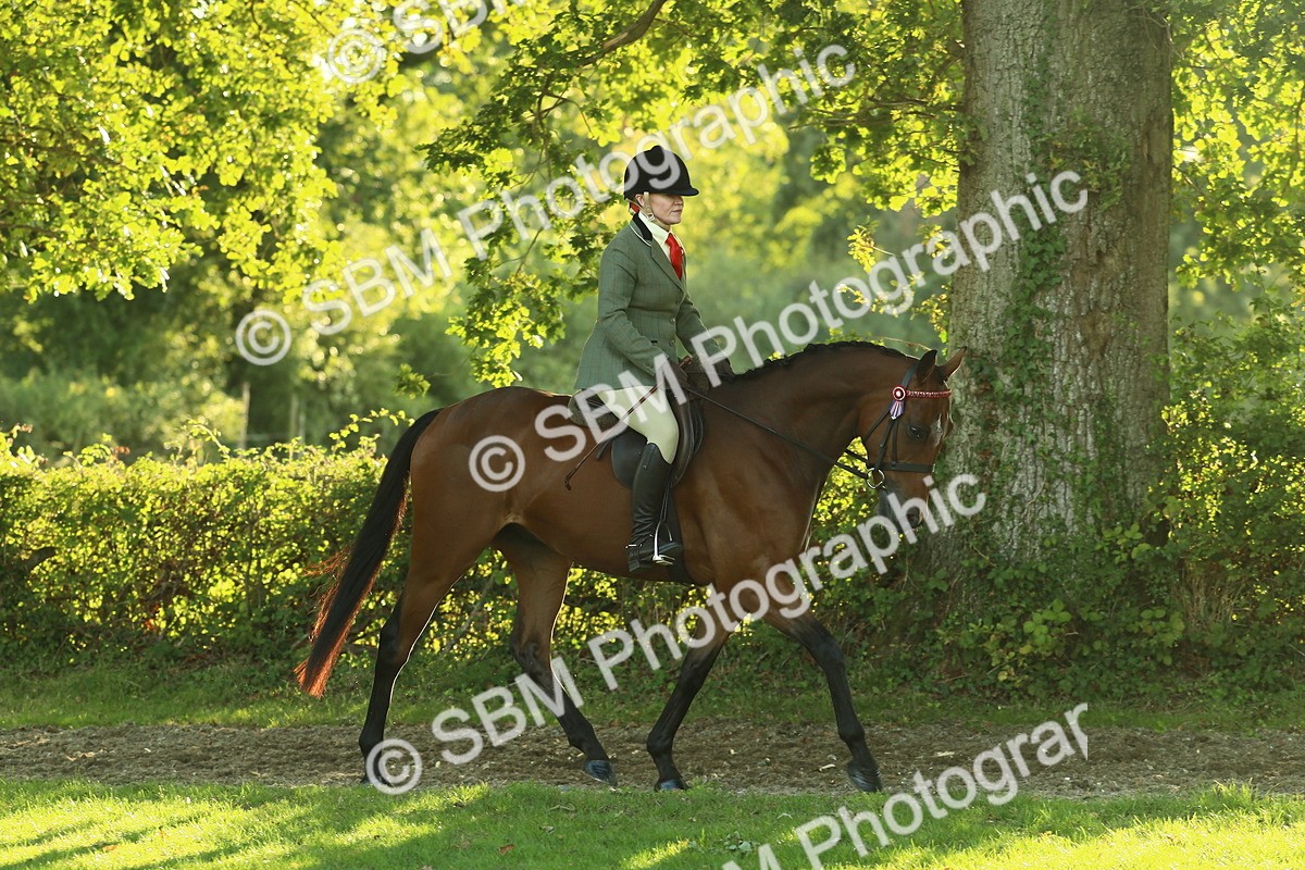 SBM_55588 - S14 - Riding Club Horse